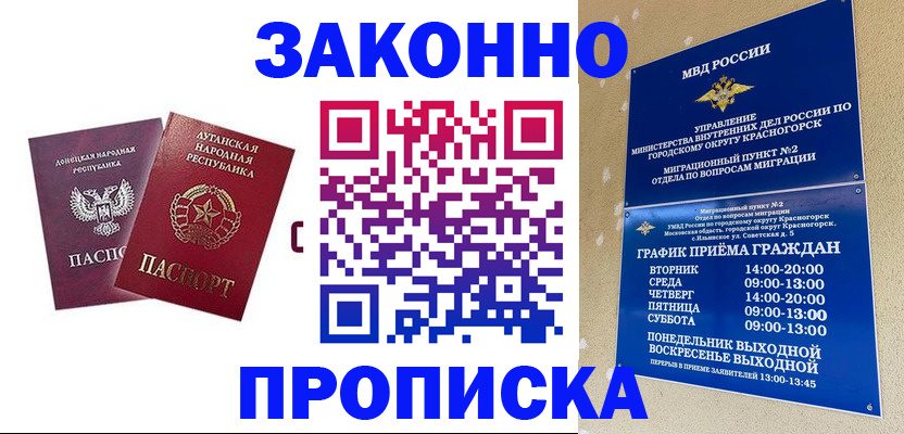прописка в Майкопе